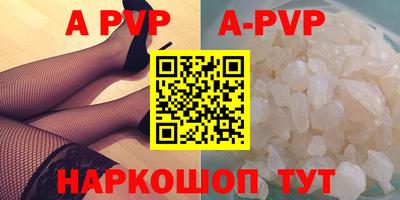 a pvp Кингисепп