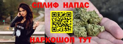 гидра Кимры